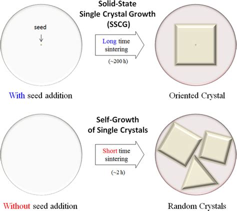 metal single crystal fabrication|solid state crystal conversion.